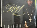 BIG L - THE BIG PICTURE (VINYL 2LP) 2000  RARE  FAT JOE + A.G. + O.C. / D.I.T.C.