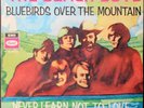 The Beach Boys ‎– Bluebirds Over The Mountain   7