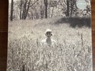Taylor Swift Folklore in The Weeds (Limited Edition Deluxe, Vinyl LP, 2020)