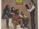 STEEL PULSE “True Democracy” Vinyl Record Album LP Reggae 1982 Elektra 80s