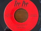 The People I Can't Stand It Rare Psych Garage Fuzz 45 Tee Pee Clean
