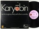 Spontaneous Music Ensemble - Karyobin LP - Island UK
