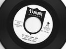 SURF POPSIKE FUZZ bw TEEN  SURF 45 - MUSIQUE & the LYRICS -HEAR  1966 DJ VALIANT