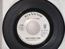 The Checkerlads Shake Yourself Down / Baby Send for Me | 7“ Garage Rock Promo
