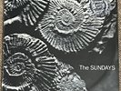 The Sundays – Reading, Writing And Arithmetic - Vinyl LP Picture Disc Album 1990