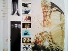 Moonspell – The Butterfly Effect Vinyl, LP, Album, Yellow Marbled