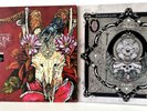 Paradise Lost Doppelpack 