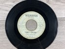 The Ferraris Can’t Explain / I’m Not Talkin 45 RPM 7” Vinyl Welhaven Records