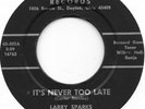 LARRY SPARKS It's Never Too Late on Jalyn bluegrass 45 HEAR