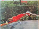 SPRING s/t LP Top U.K. 1970s Prog w/Mellotron – Original Press on NEON/RCA