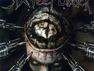 Six Feet Under ‎- Maximum Violence LP - DEATH METAL RECORD Metal Blade Classics