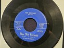 Rocky Davis and the Sky Rockets 1959 45 RPM 
