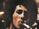 Bob Marley & The Wailers - Catch A Fire. Vinyl 12
