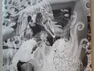 Bjork Vespertine Double Vinyle 33 tours  Label One Little Records 2022 NEAR MINT