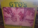 GTO’S   GIRLS TOGETHER OUTRAGEOUSLY   PERMANENT DAMAGE   VINYL FROM FRANK ZAPPA