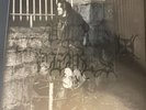 Vlad Tepes A Catharsis for Human Illness Vinyl Box Set Black Metal