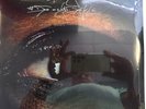 Rufus Wainwright All Days Are Nights Songs For Lulu LP Album vinyl record