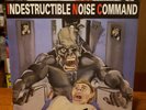 Indestructible Noise Command-Razorback Double Vinyl LP. N.Mint 2016 Release.