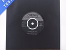 The Bobby Fuller Four - I Fought The Law - 7
