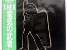 T. REX ELECTRIC WARRIOR T.REX SP205056 JAPAN OBI VINYL LP