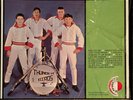 Thunderbirds - Meet the Fabulous Thunderbirds (1965) LP, Garage Rock, Rare, US