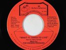 Modern Soul 45 - Chosen Few Band - What It Takes To Live - BR - VG++