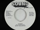 Modern Soul Funk 45 - Brief Encounter - Human - Sound Plus - VG++