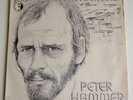 LP - Peter Hammer ‎– Wish I Was A Stranger Here (RAR Brutkasten in VG++)