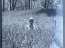 Taylor Swift Folklore Vinyl ‘In The Weeds’
