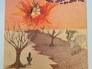 Eduardo Araujo E Silvinha - Sou Filho Desse Chao Original LP Brazil Funk Psych