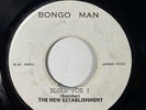 The New Establishment/The Skatalites 