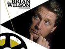Brian Wilson - Playback  The  Anthology - New Vinyl Record - D6997z