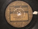 BLUES CHARLIE PATTON Jersey Bull Blues / Love My Stuff VOCALION 02782 FILLER