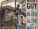 Buddy Guy The Blues Is Alive and Well (Vinyl) 12