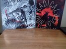 LITTLE ANGELS - KICKING UP DUST FULLY SIGNED & RADICAL YOUR LOVER