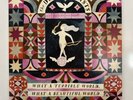 What a Terrible World: What a Beautiful World by The Decemberists LP Vinyl RBH