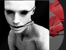 Poppy 'I Disagree (More)' 2LP Exclusive Red & Clear Butterfly w/Splatter Vinyl