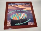 GUIDED BY VOICES - Alien Lanes original 1995 US Misprint vinyl LP Matador DMM