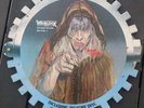 Warlock/Doro/you hurt my Soul/ Pictures DISC/ VINYL/ Nahezu Perfekt