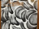 Angel Hair Insect Mortality LP Gravity