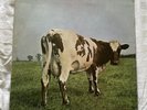 Atom Heart Mother by Pink Floyd 1970 First Edition Harvest Label