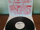 Fiori & colori beat psichedelico 1967 - 1969. LP vinile, 33 giri. Meccano (1993)