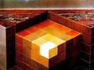 Black Mountain In the Future (Vinyl)