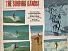 VARIOUS ROCK ARTISTS on LP 