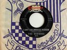 Garage Punk 45 THE BROGUES  I Ain't No Miracle Worker/Don't Shoot Me Down RARE