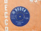 THE BIRDS YOU'RE ON MY MIND/ YOU DON'T LOVE ME DECCA LABEL FROM 1964