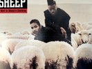 Black Sheep - Wolf in sheeps Clothing vinyl