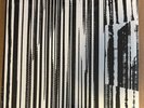LP:  THE DEAD C - Harsh 70s Reality     NEW SEALED REISSUE 2xLP