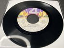 MAD IN THE MORNING *Don't Let Dog Bite Santa Claus* ELECTRO BASS 4 SIGHT 87-4664