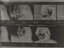 The Beatles Let It Be... Naked BOOKLET + 7 SINGLE NEAR MINT EMI Vinyl LP